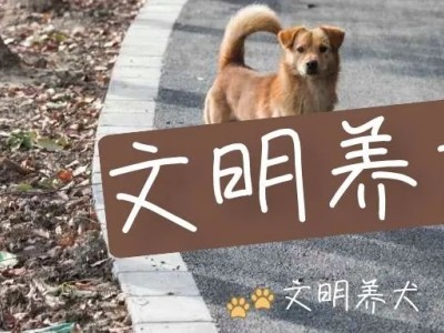 8月长兴楼市的表现如何？“C位”之路是如何炼成的？