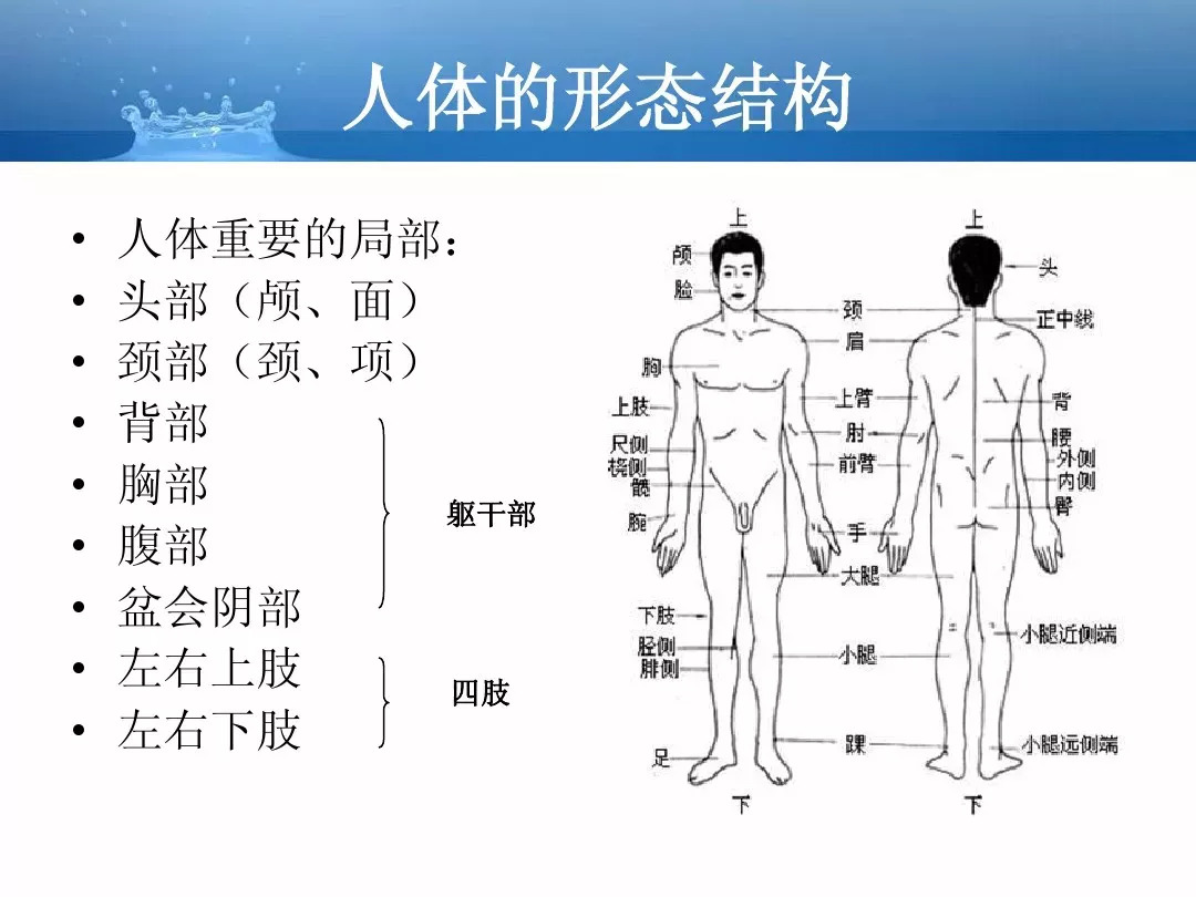 什么是外表解释