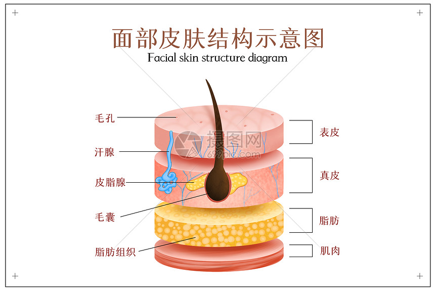 机械产品名字后的TS是什么意思