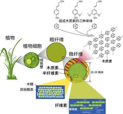 经常出现纤维中耐磨性最好的是