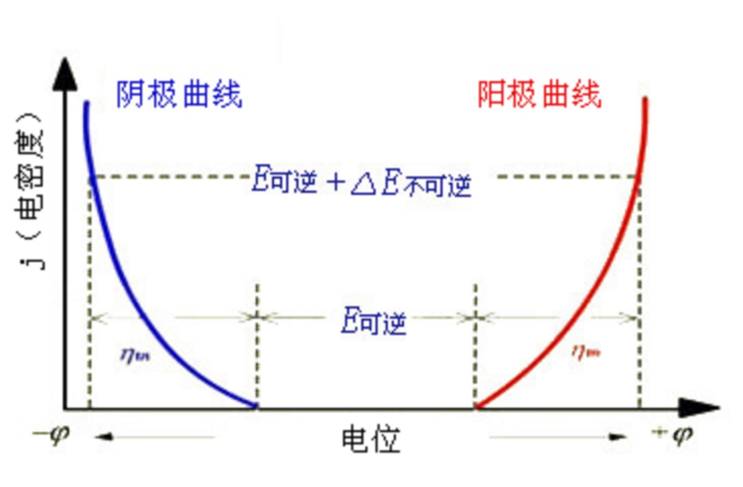 极化作用和反极化作用各自是怎么的