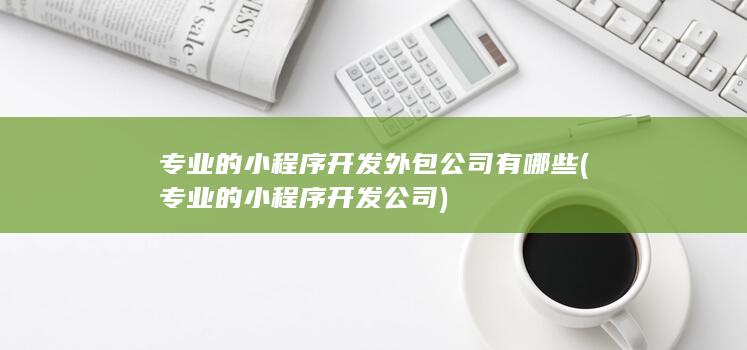 专业的小程序开发公司