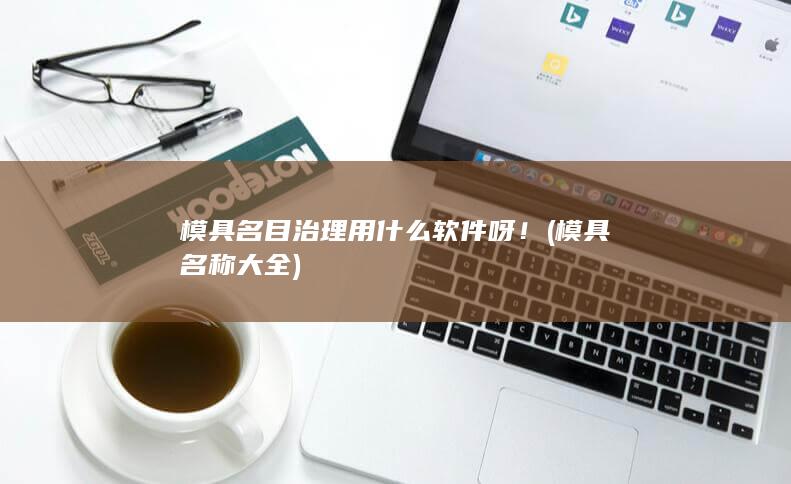 模具名目治理用什么软件呀！